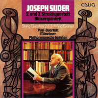 Streichquartett No. 3 in A Minor: II. Langsam, doch nicht schleppend - Pusl-Quartett