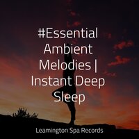 Sands of Time - Natural Sample Makers & SleepTherapy & Yoga Trainer