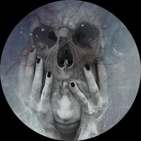 Extra Fine - Diarmaid O Meara & Daniel Munkelberg & Hystericmaniak