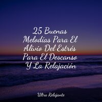 El Bebé Ahora Duerme - Musica Para Dormir Profundamente & Canção de Ninar Bebê & Massagem Guru