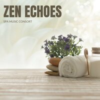 Gentle Haze - Spa Music Consort
