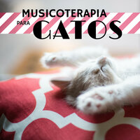 Su Mirada - Musicoterapia Animales Academy