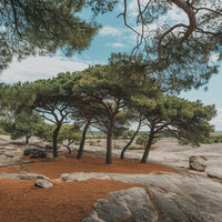 Cozy Cabin - Chillout Paramount