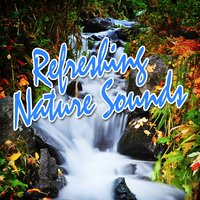 Distant Rolling Thunder to Help You Fall Asleep - Deep Sleep Music