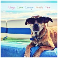 Kendrick's Dream - Dog Music & Music for Dog's Ears & Meeresrauschen