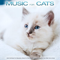 Music for Pets - Aveda Blue & Cat Music & Cat Music Experience
