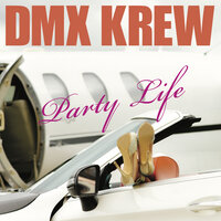Thought You Were the One - DMX Krew