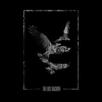 Karma - shawtyblazer