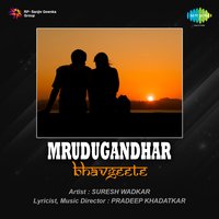 Sapni Mani Dhyani - Kavita Krishnamurthy