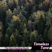 Whispering Palms of Ease - Timeless Tune