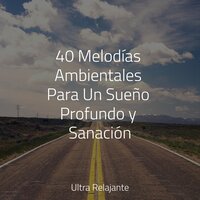 Respirando Profundamente - meditación Interna & Relaxamento Sons da Natureza Ruído Branco Musicas Clube & Musica Relajante Para Dormir