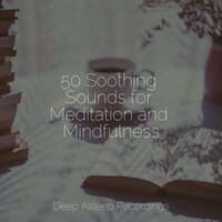 Bamboo Water Fountain - Binaural Beats Brain Waves Isochronic Tones Brainwave Entrainment & Meditação Yoga & Massagem Coleção de Músicas