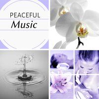 Healing Waters - Sensual Massage to Aromatherapy Universe