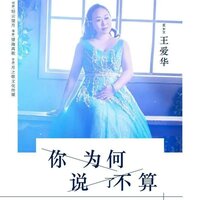 你为何说了不算 - 王爱华
