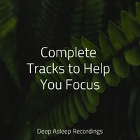 Quiet Horizons - Spa Music Collective & Classical Lullabies & Alpha Waves