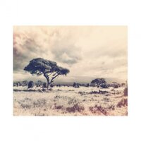 Amaqhawe - Ped One