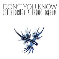 Don't You Know - Ori Shochat