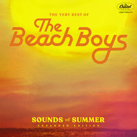 Devoted To You - The Beach Boys