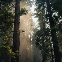 Sonidos Internos - Relajación Meditar Academie & Relajante & Musica Para Dormir Profundamente