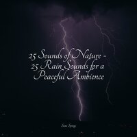 Rains Above - Spa & Relaxing Mindfulness Meditation Relaxation Maestro & Sleep Waves