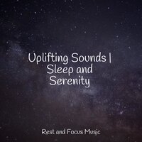 Spring Solace - Musique Zen Garden & Sleep Sound Library & Pet Care Music Therapy