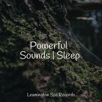 Karma Flows - Classical Lullabies & Namaste Yoga & Rain Hard