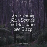 Flowing Rains - Sleeping Baby Songs & Sonido Del Bosque y Naturaleza & Relaxation Sleep Meditation