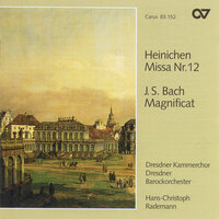 Magnificat in D Major, BWV 243: Et misericordia (Alto, Tenor) - Kai Wessel & Hermann Oswald & Dresdner Barockorchester & Hans-Christoph Rademann & Johann Sebastian Bach