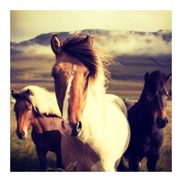Evening Lights - Relaxation Détente & Musique Relaxante & Musique Zen