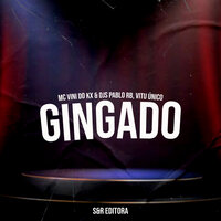 Gingado - DJ Pablo RB & Vitu Único & Mc Vini do Kx