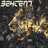 All The Tears Disappear - Sekten7