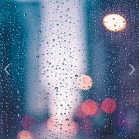 Forest Rain - Study Sounds & Alphawaves