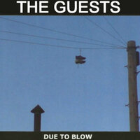 Wise - The Guests