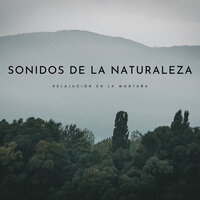 La Cumbre Del Monte - Naturaleza Sonidos & Naturaleza FX & Música Instrumental Maestro