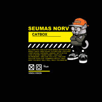 Want You Back - Seumas Norv
