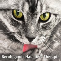 Kämpfen Angst - Entspannungsmusik Welt