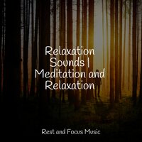 Relaxing Breaths - The White Noise Zen & Meditation Sound Lab & Chillout Lounge & Study Power