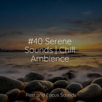 Royal Relaxation - Kings of Nature & Deep Sleep Music Experience & Oasis de Détente et Relaxation