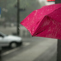 Thunderstorm and Rain Sounds, Pt. 6 - Rain Sounds & Nature Sounds & Rain Sounds & Nature Sounds