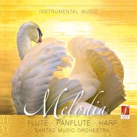 The Three Flowers - Santec Music Orchestra
