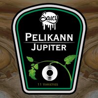 Jupiter - Pelikann