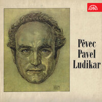 Medák - Pavel Ludikar & Prague National Theatre Orchestra