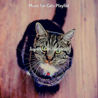 Excellent (Relaxing Cats) - Music for Cats Playlist