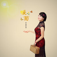 暖菊 - 修篱种菊