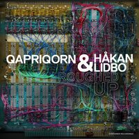 Roughed Up - Qapriqorn & Hakan Lidbo