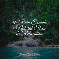Rain in the Gutter - Tibetan Singing Bowls for Relaxation & Massagem & Heavy Rain Sounds