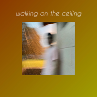 walking on the ceiling - Casey