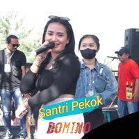 Santri Pekok - Domino