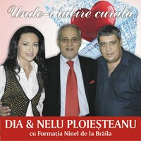 Ce ma fac cu tine fata - Dia & Nelu Ploiesteanu