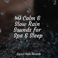 Deep Forest Birds - Binaural Beats Brain Waves Isochronic Tones Brain Wave Entertainment & Natureza Musica Bem-Estar Academia & Sleep Tight